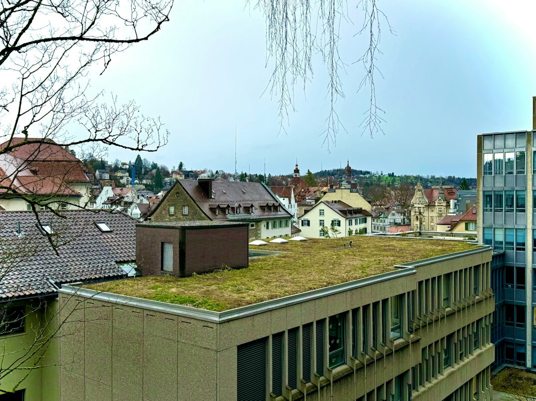 Bright editorial office with archive boxes and a view over a Swiss city rooftop